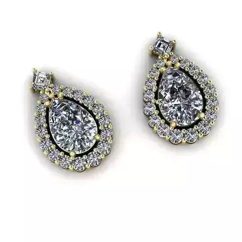 Earrings for women N01192