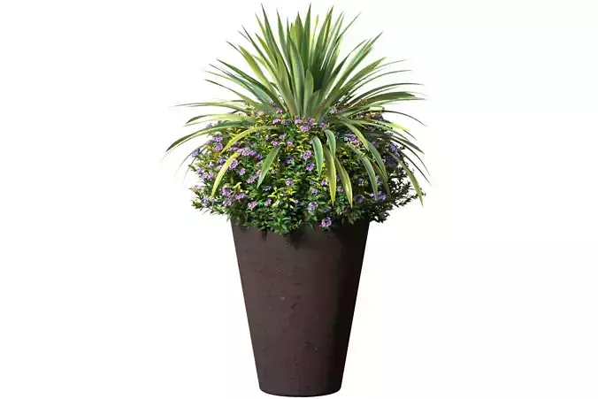 Container garden Flower composition in a modern pot Front Patio 