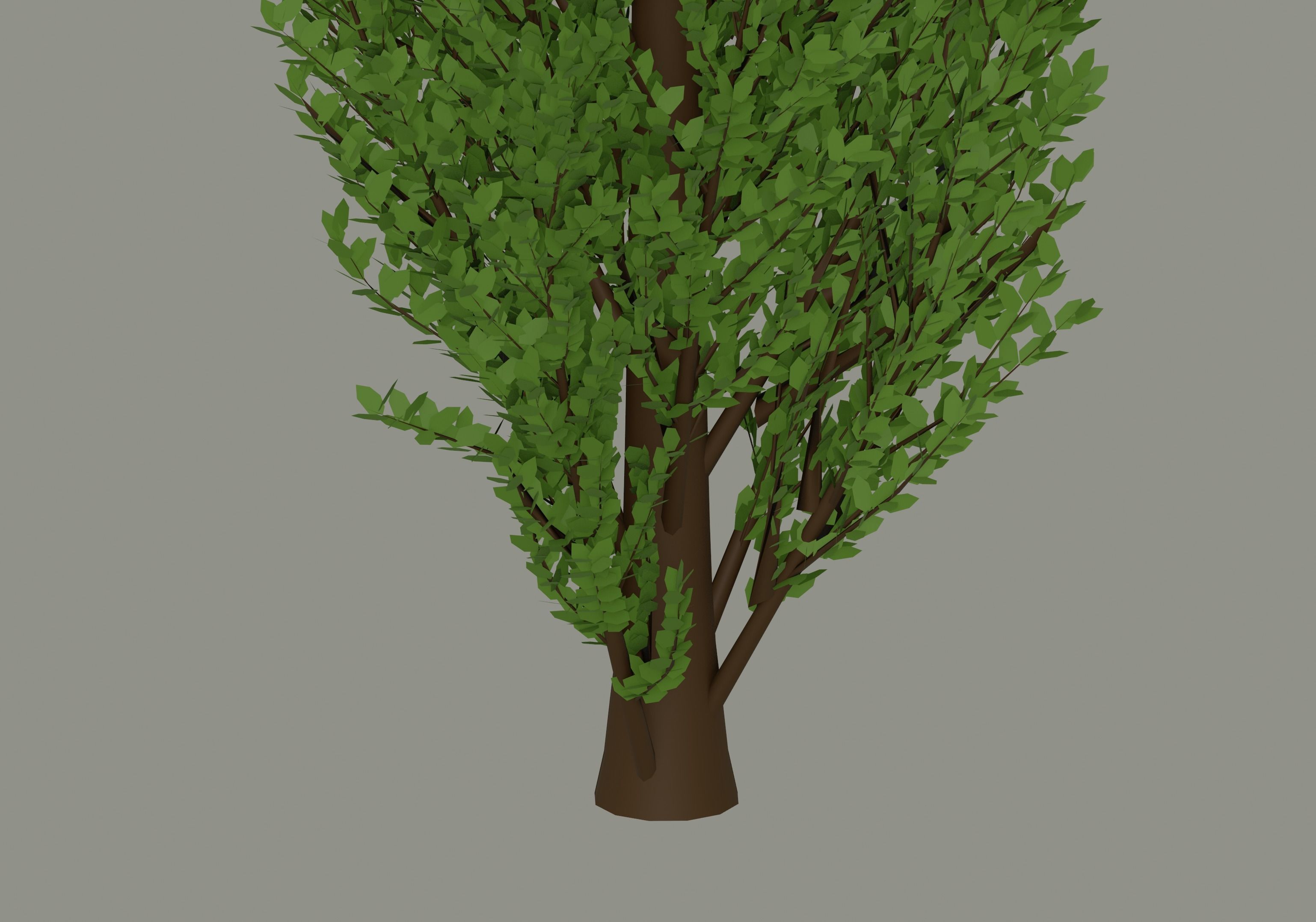 Tall Tree 3D model_6
