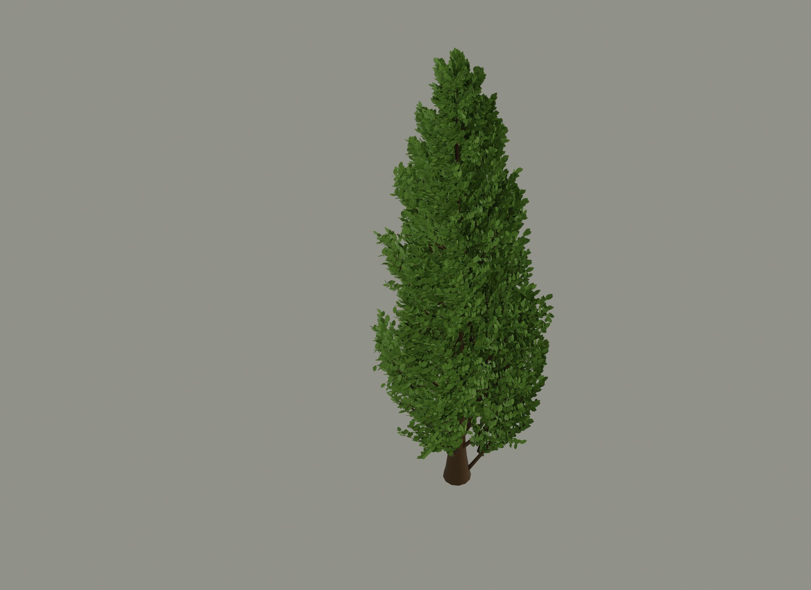 Tall Tree 3D model_4
