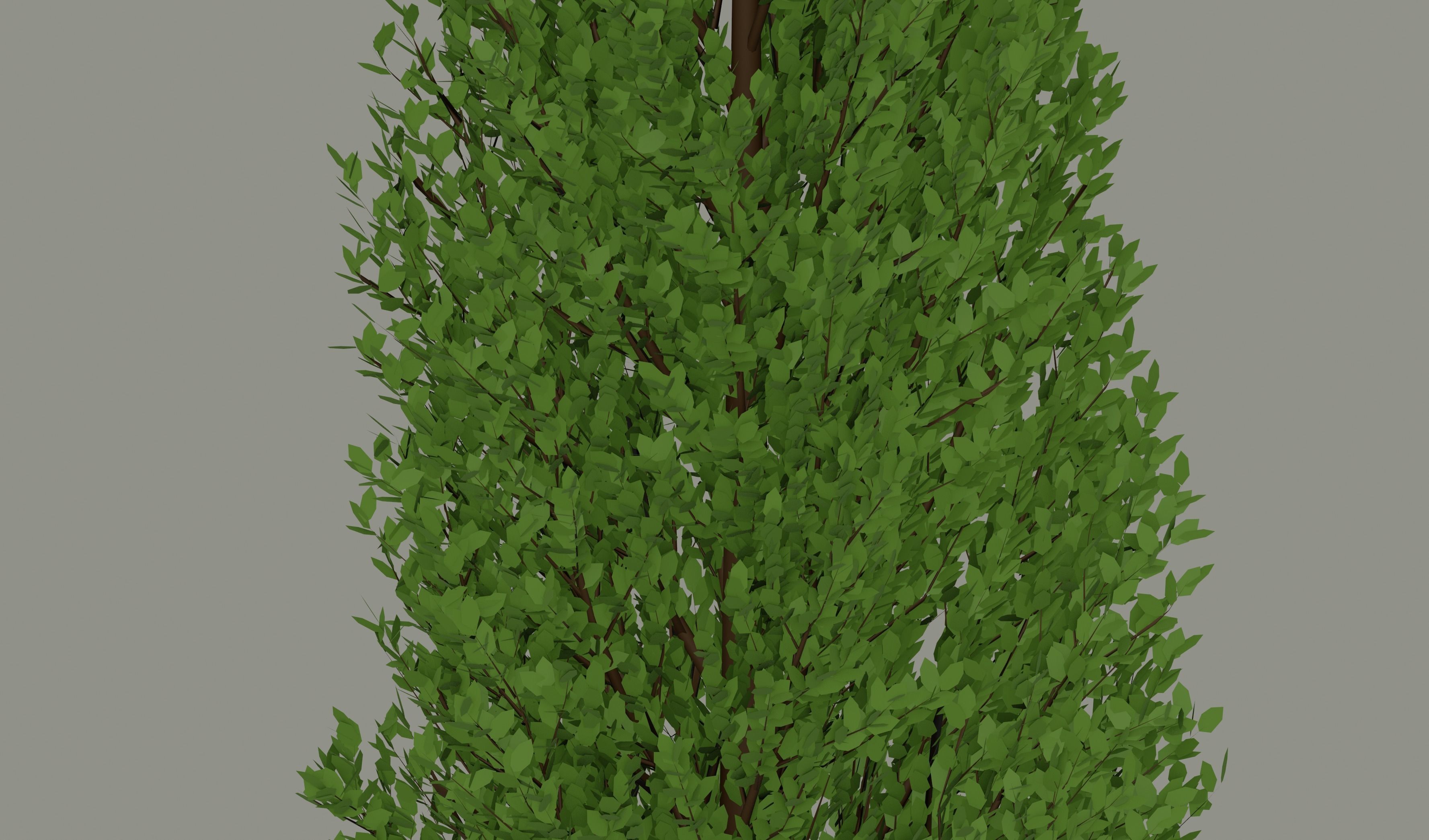 Tall Tree 3D model_7