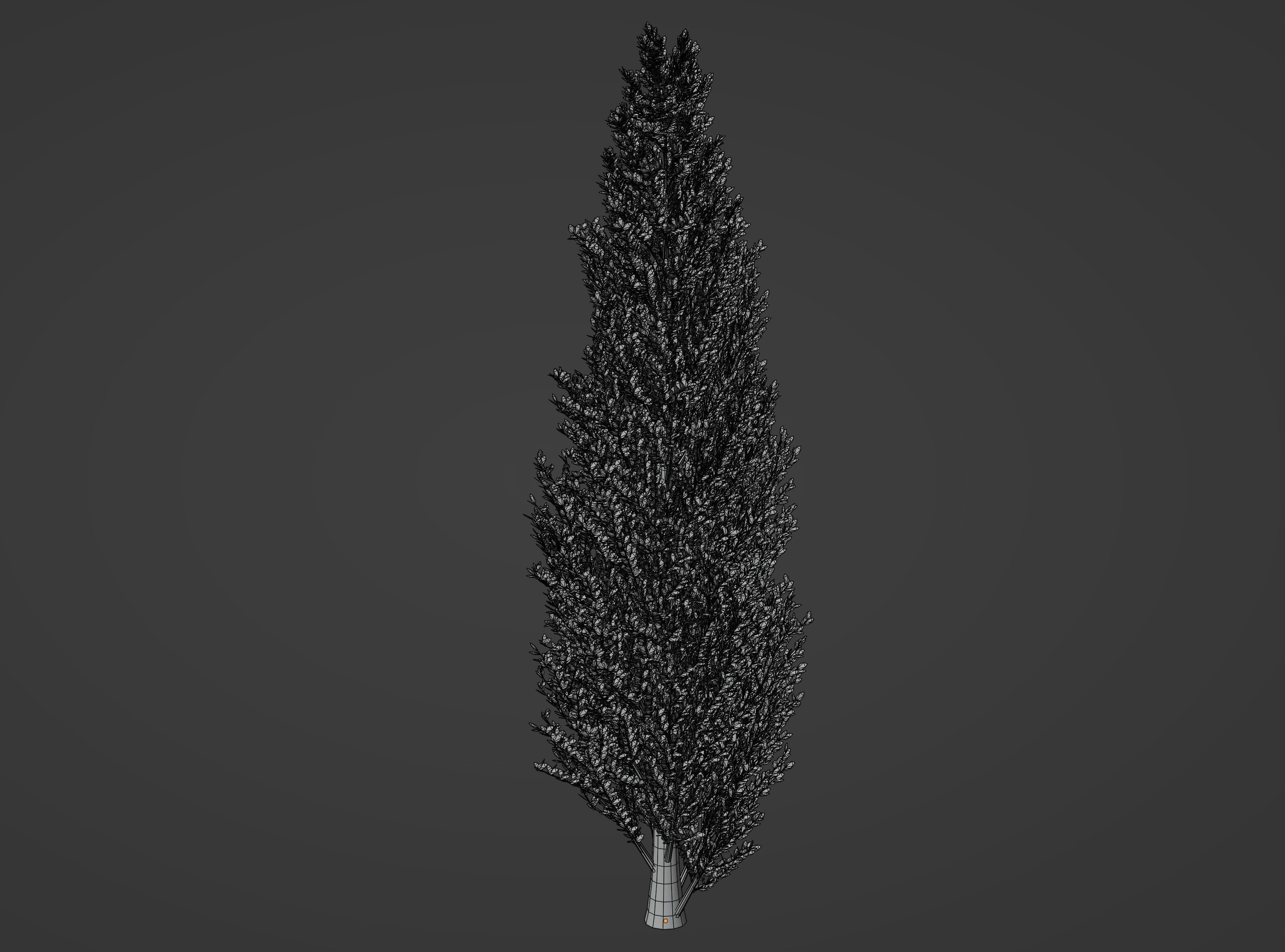 Tall Tree 3D model_11