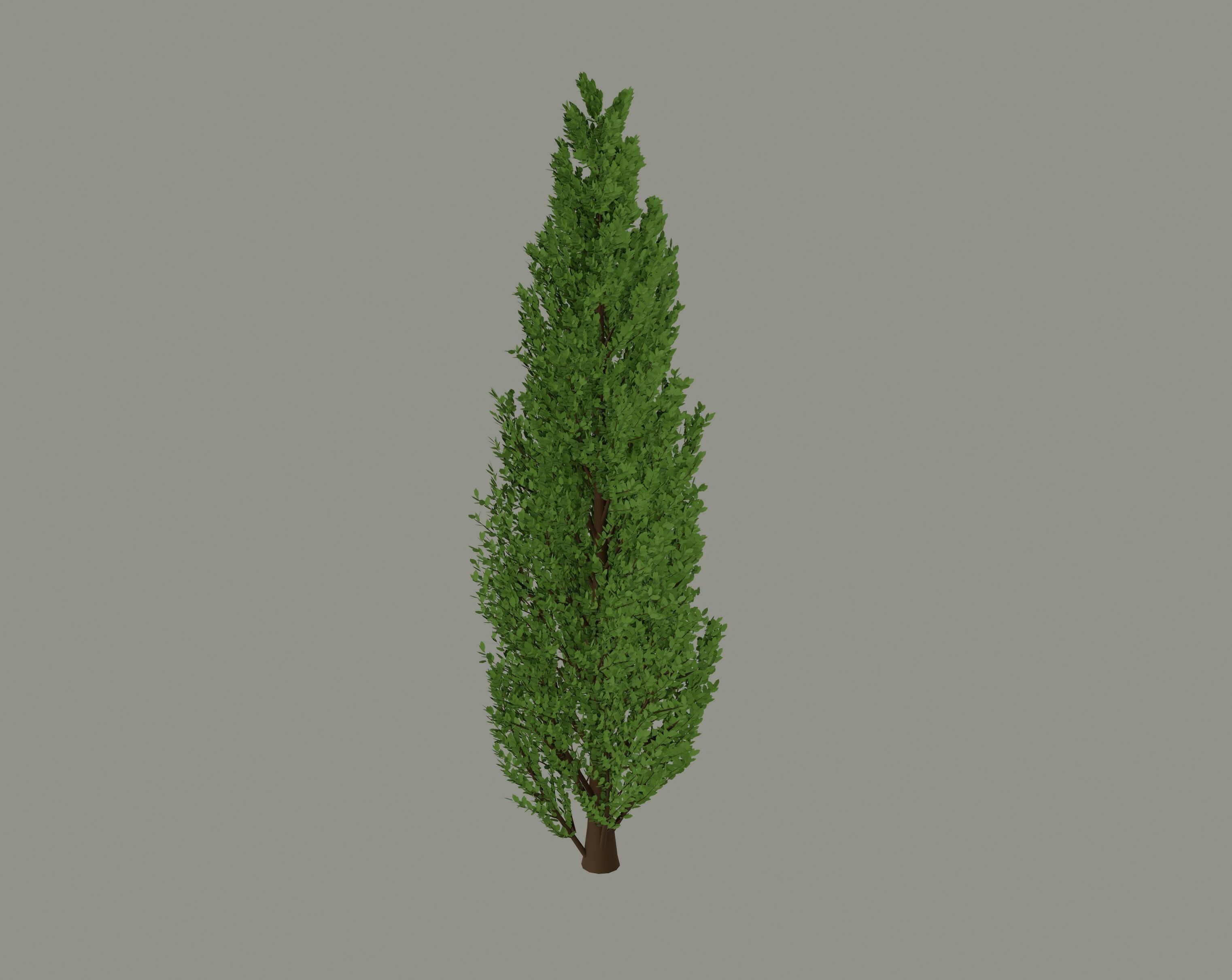 Tall Tree 3D model_2