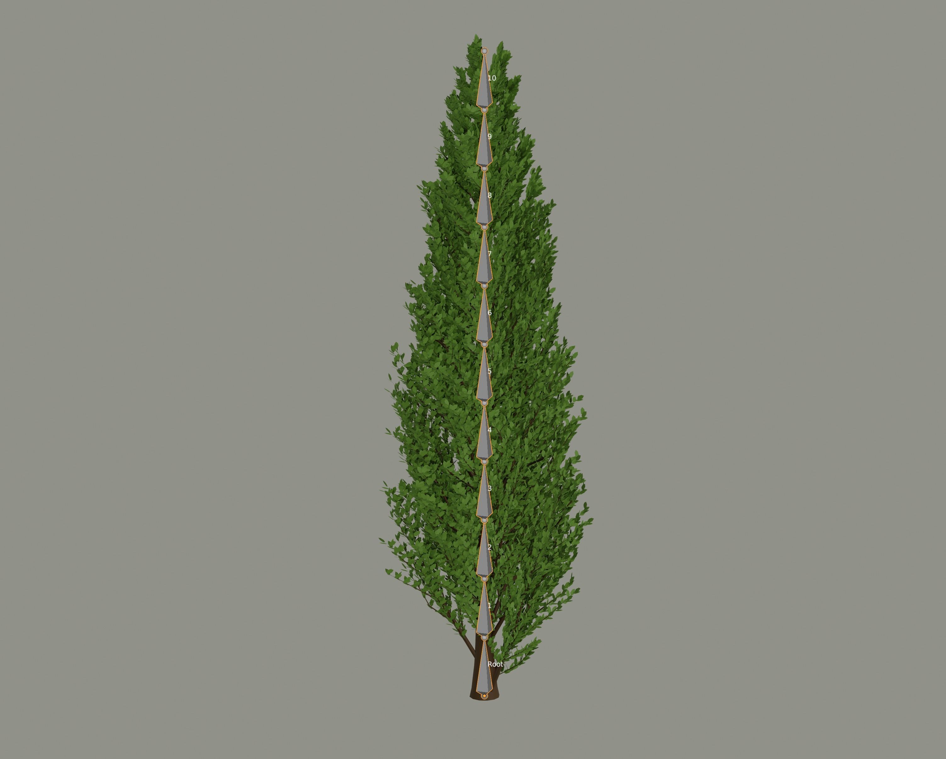 Tall Tree 3D model_10