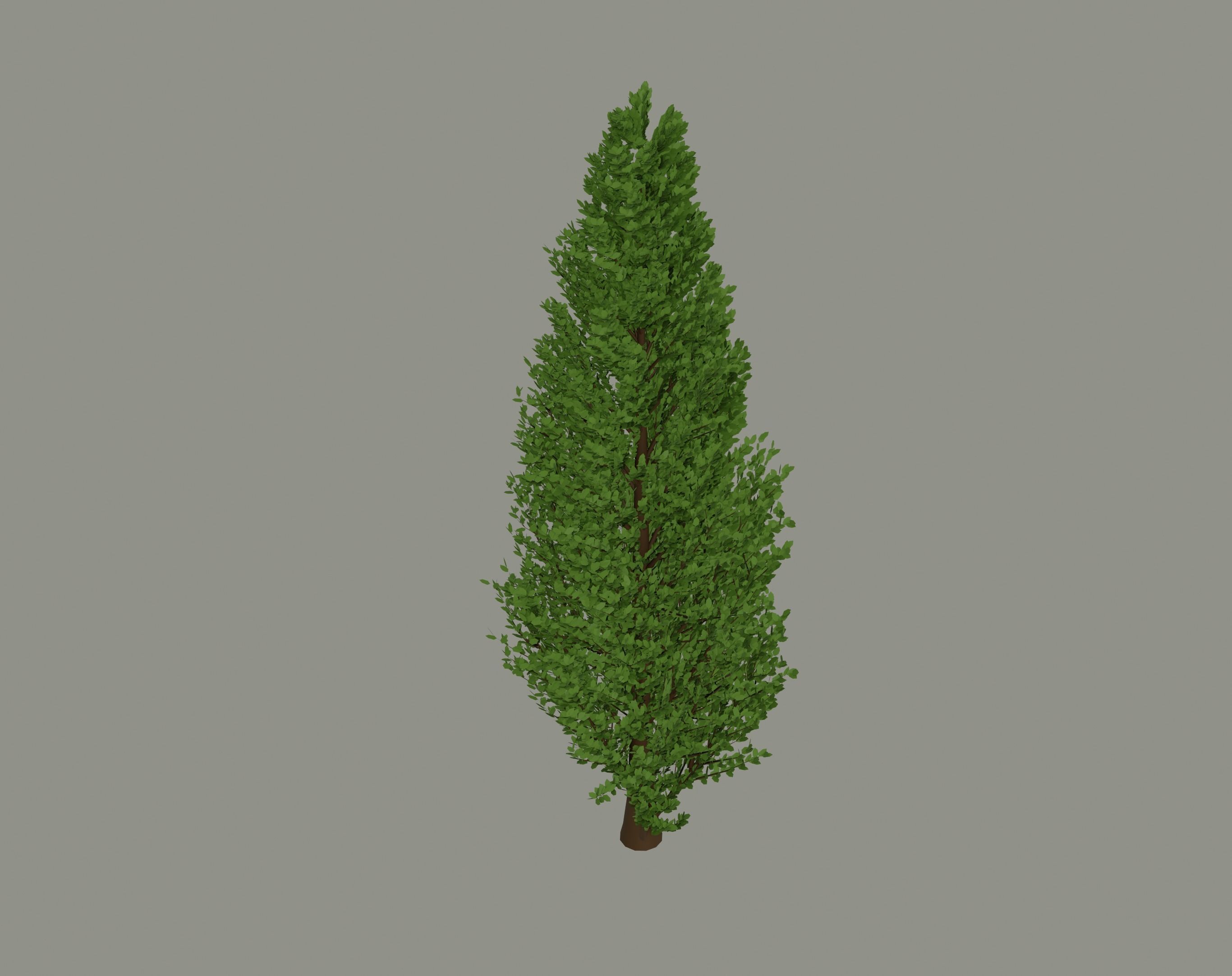 Tall Tree 3D model_3