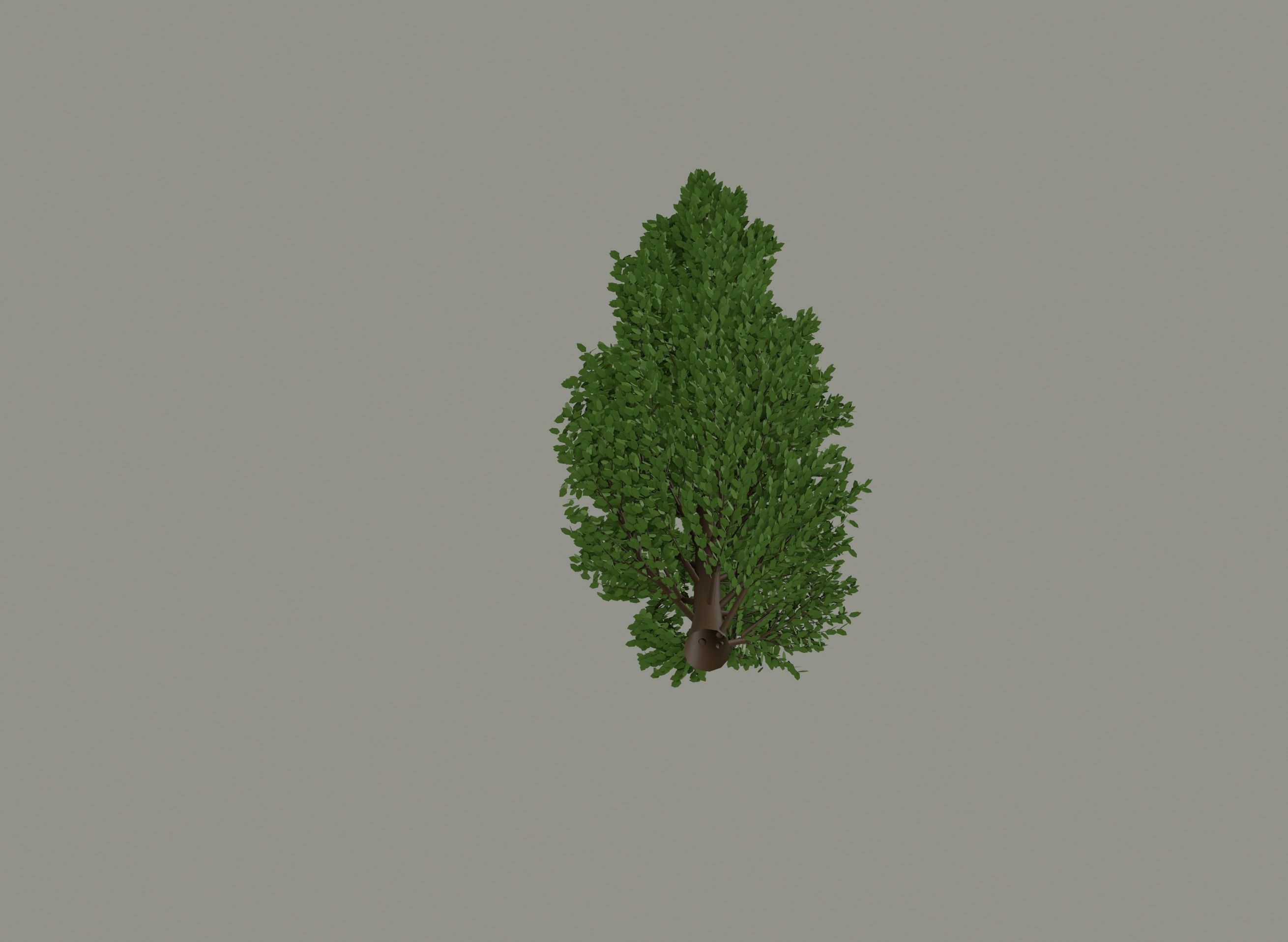 Tall Tree 3D model_5
