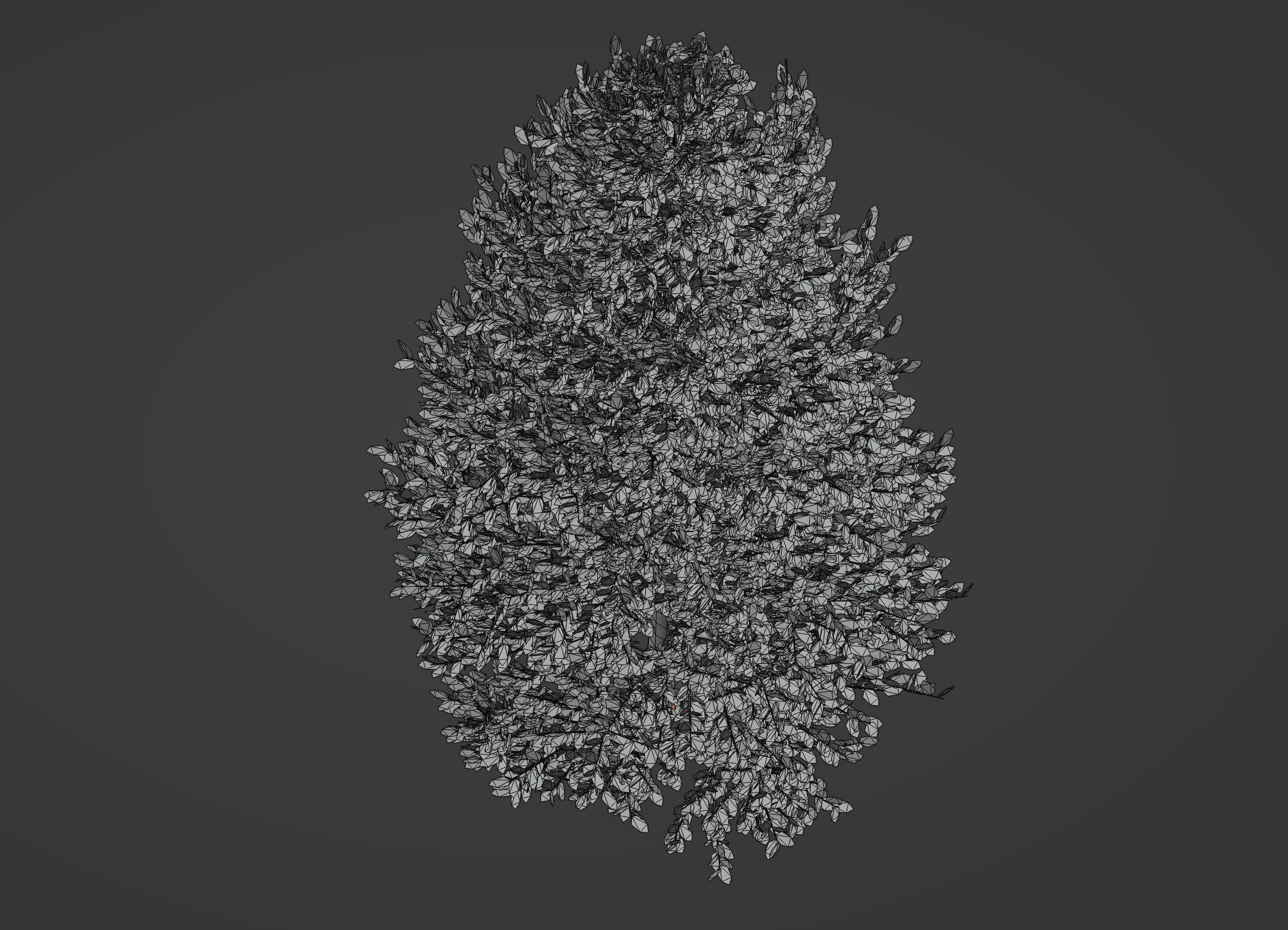 Tall Tree 3D model_12