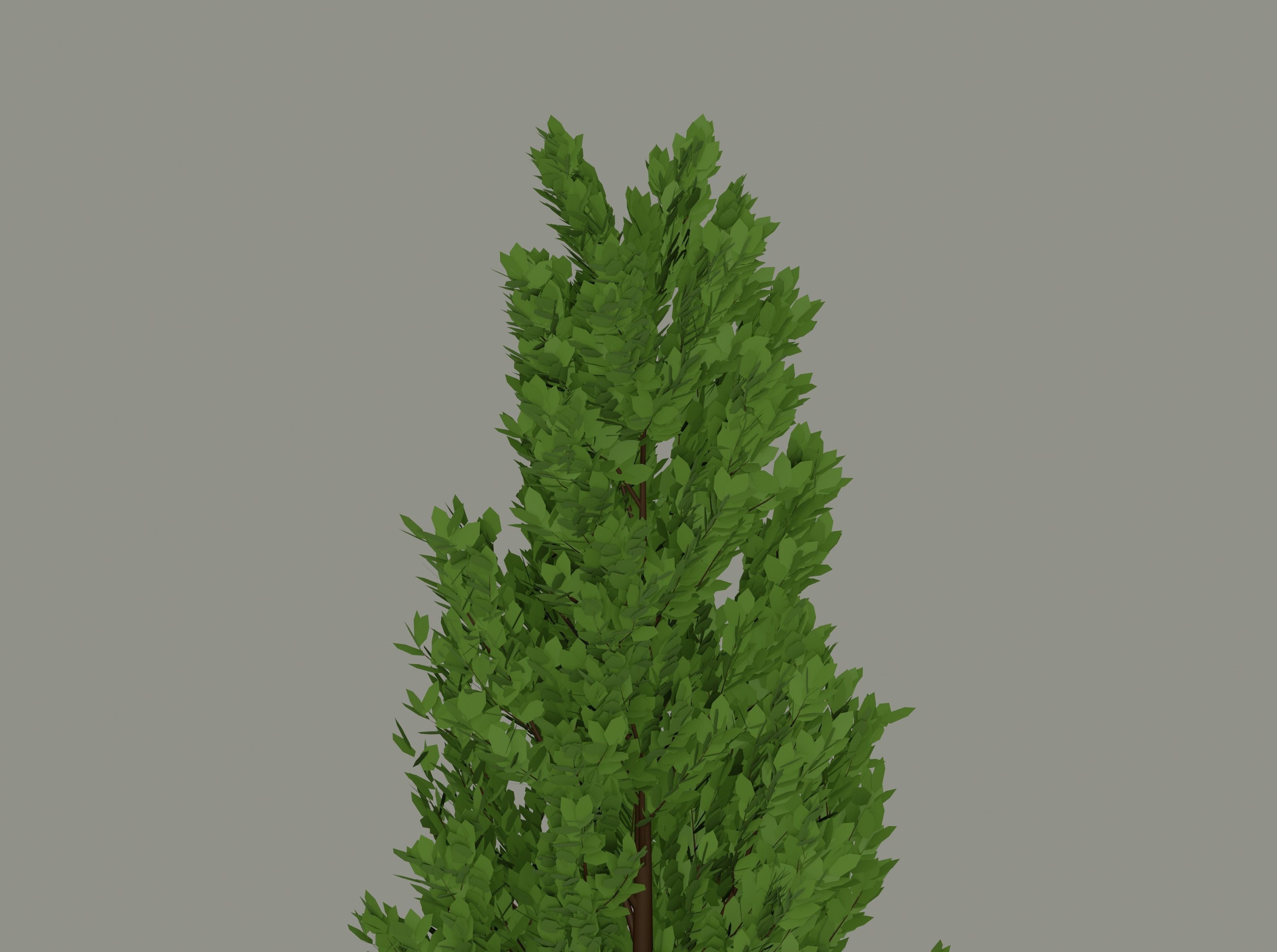Tall Tree 3D model_8