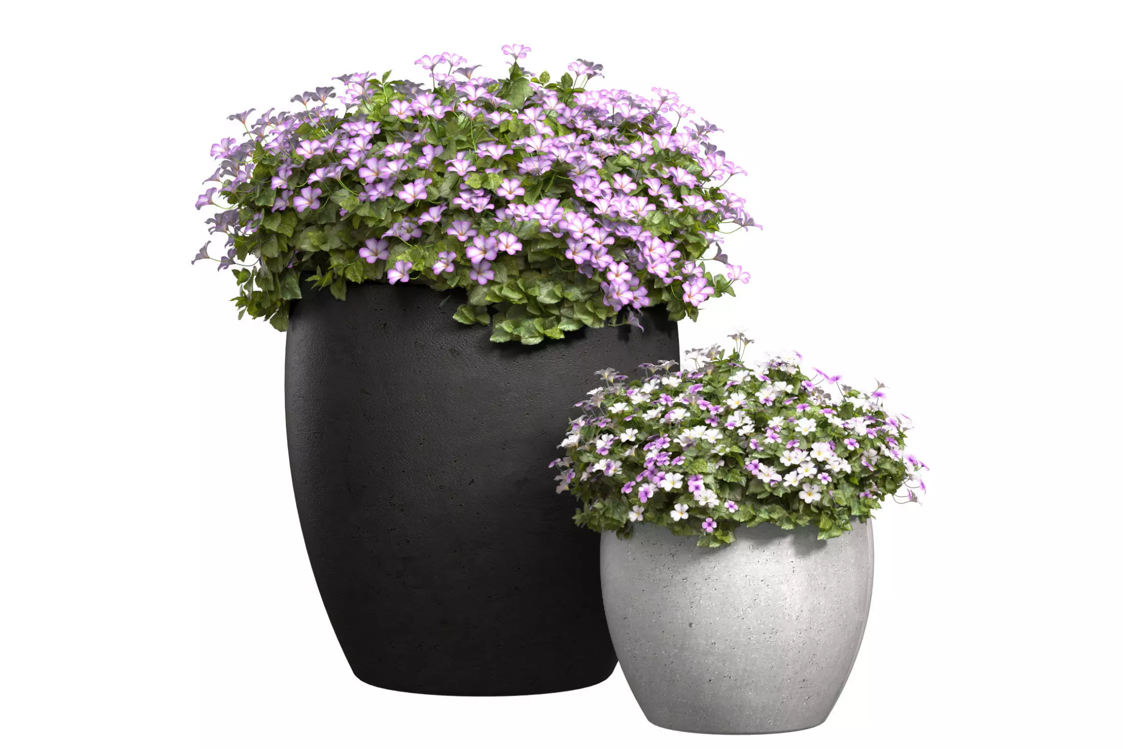 Flowerbed in a garden pot Flowers Garden Plant Patio 3D model