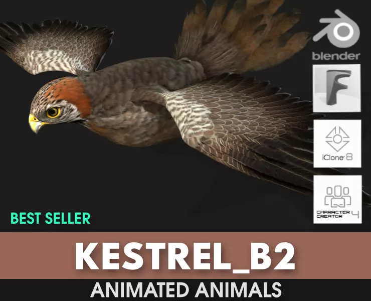 Kestrel B2 3D model_0