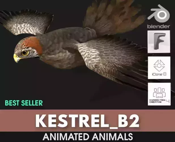 Kestrel B2