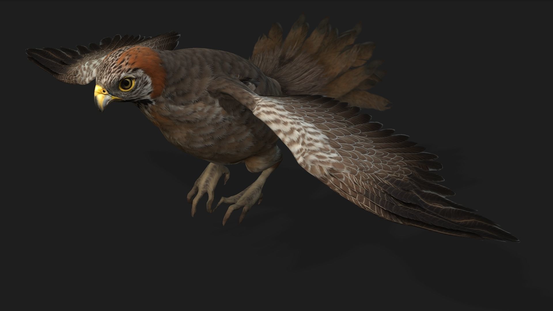 Kestrel B2 3D model_3