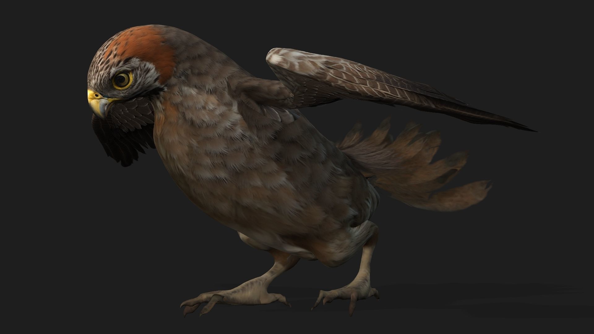 Kestrel B2 3D model_4