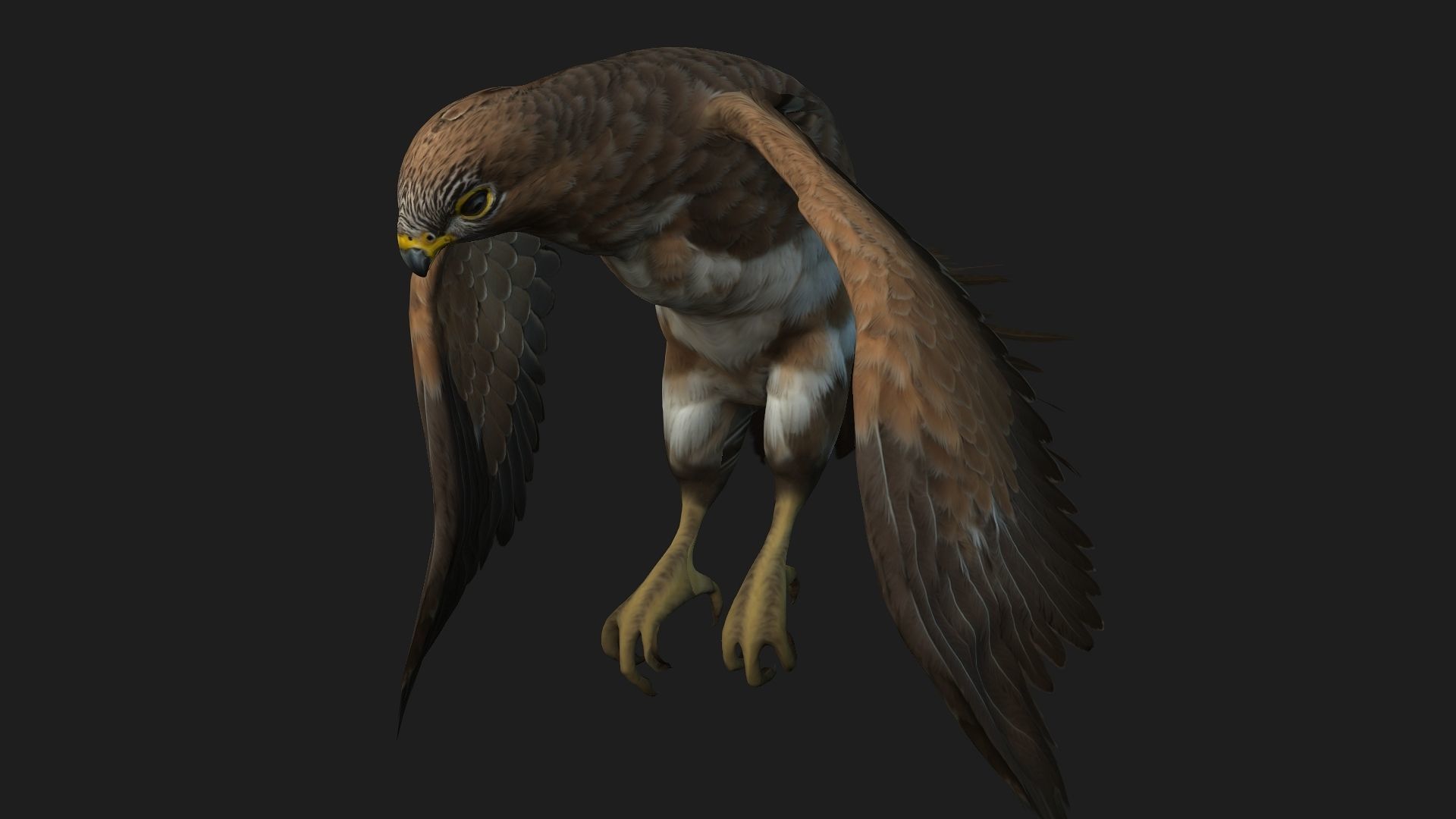 Kestrel B3 3D model_5