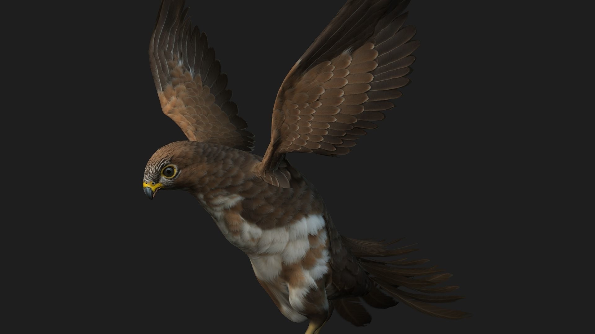 Kestrel B3 3D model_4
