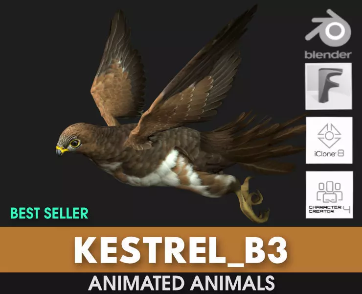 Kestrel B3 3D model_0