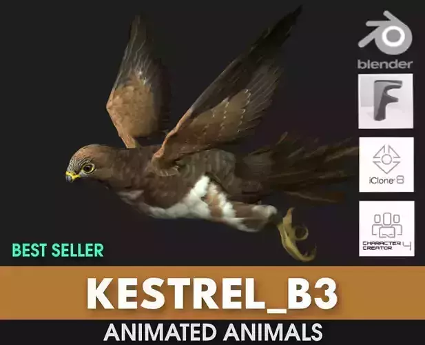 Kestrel B3