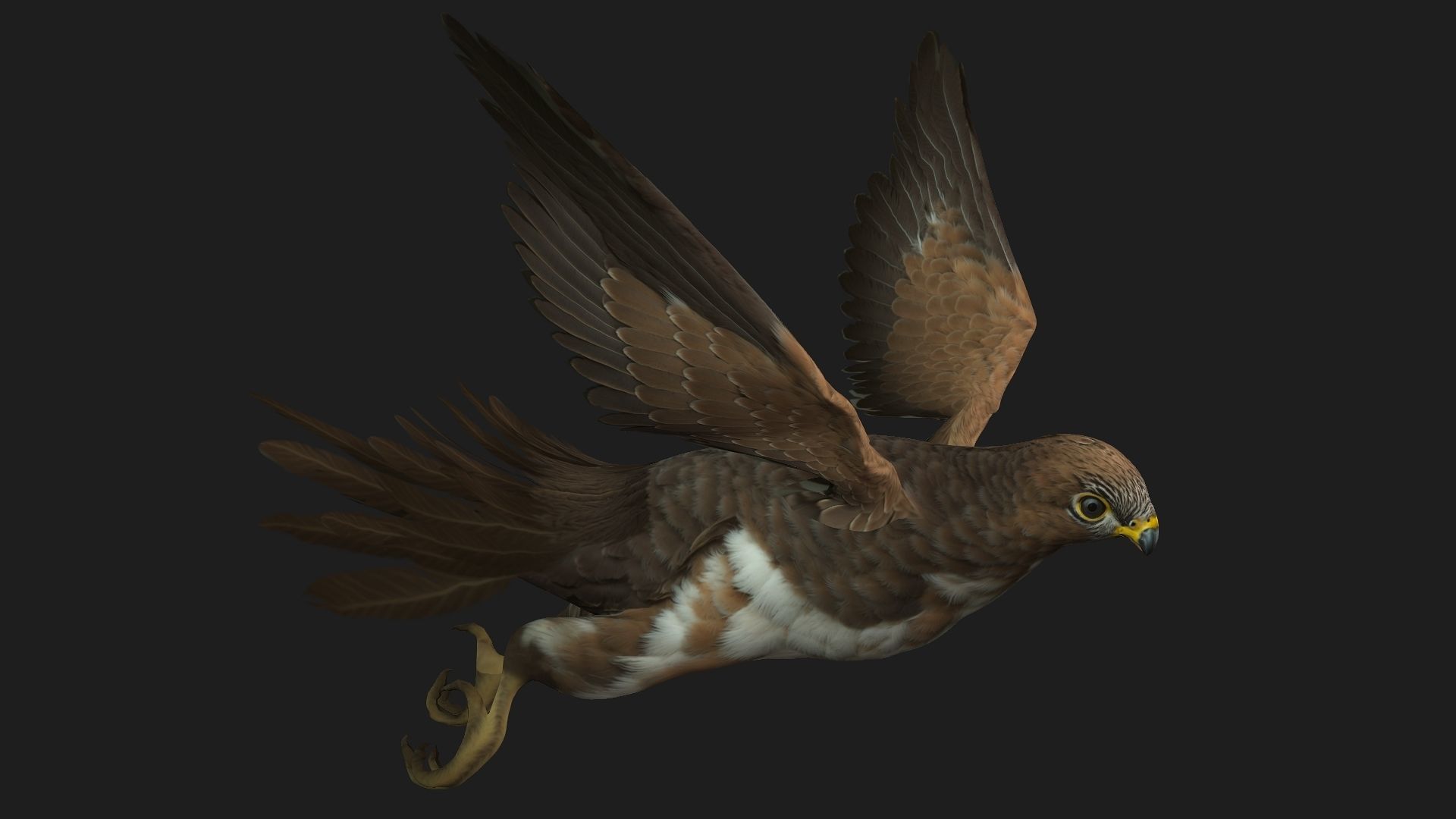 Kestrel B3 3D model_6