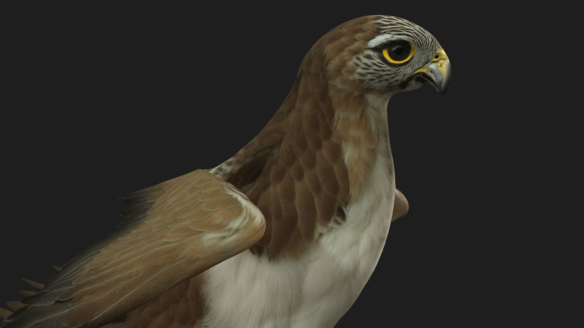 Kestrel B4 3D model_4