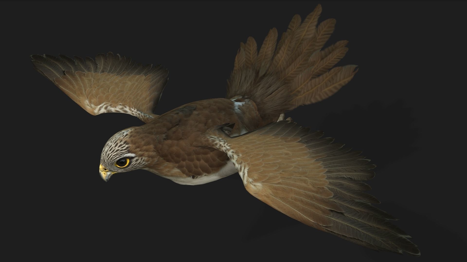 Kestrel B4 3D model_5