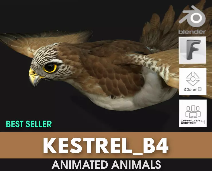 Kestrel B4 3D model_0