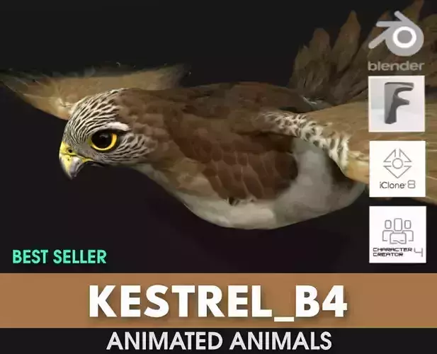 Kestrel B4