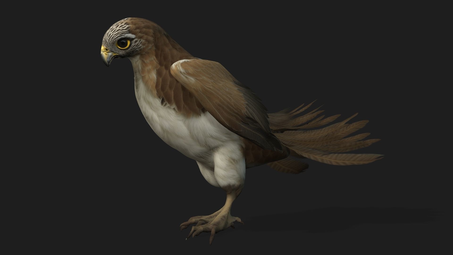 Kestrel B4 3D model_2