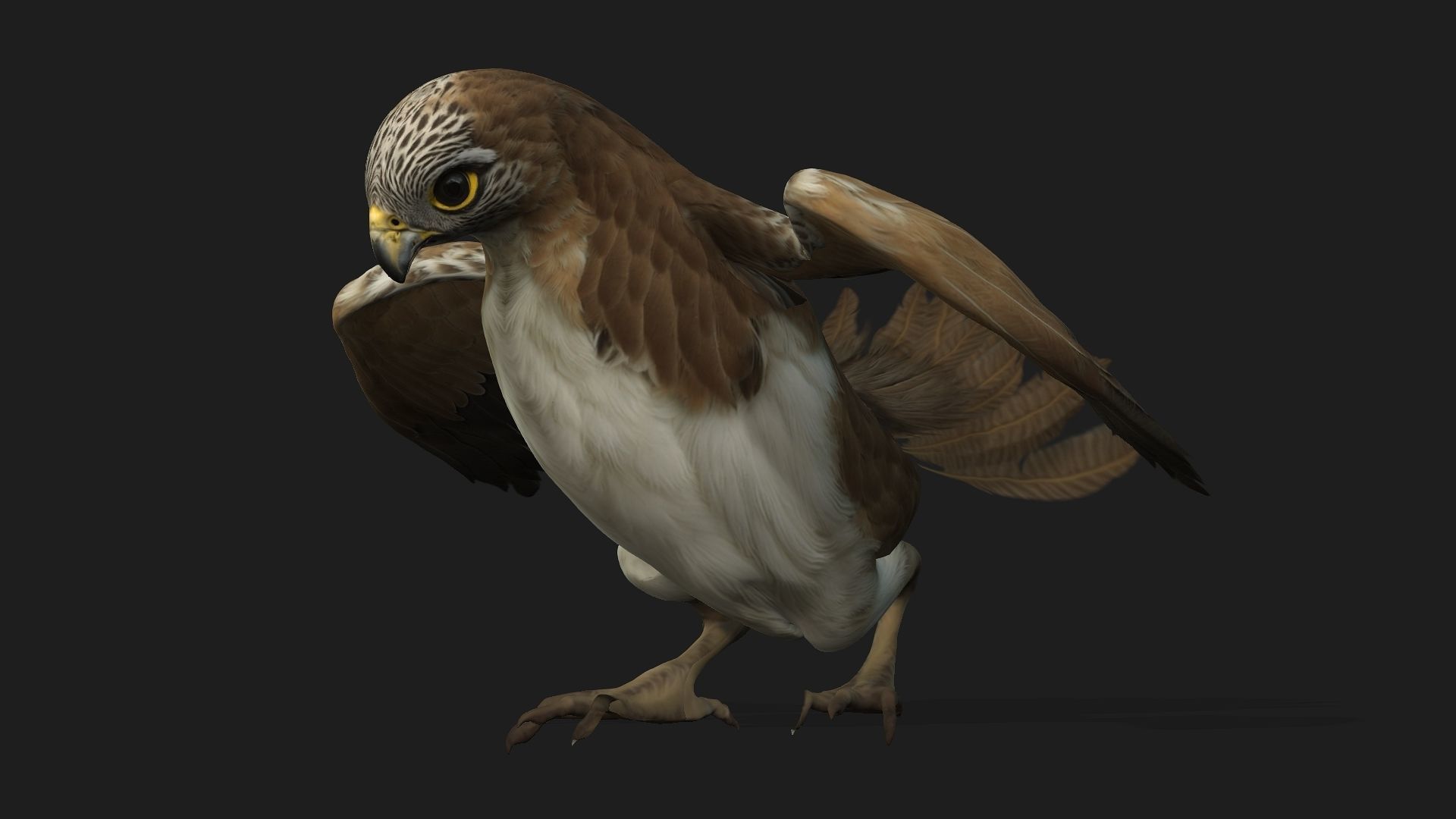 Kestrel B4 3D model_3