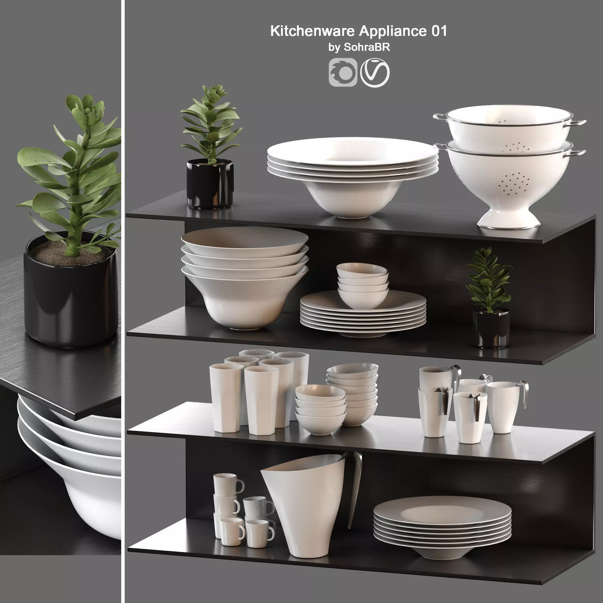 Kitchenware Appliance accessories with Succulent 3D model
