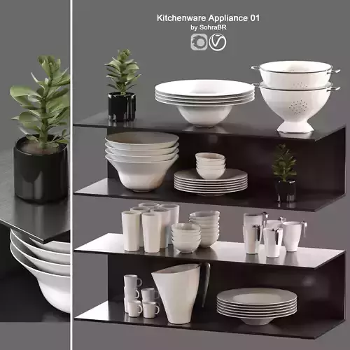 Kitchenware Appliance accessories with Succulent