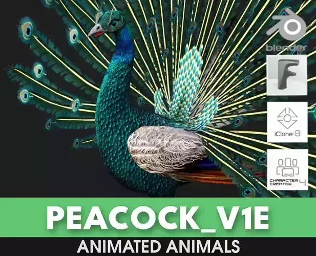 Peacock V1E 3D model