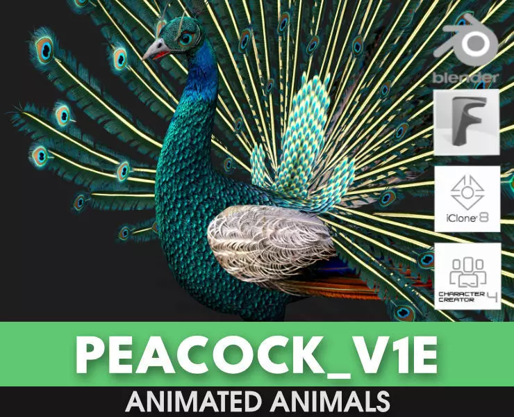 Peacock V1E 3D model_0