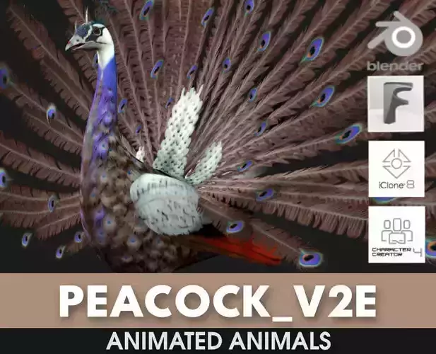 Peacock V2E 3D model