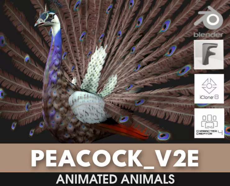 Peacock V2E 3D model_0