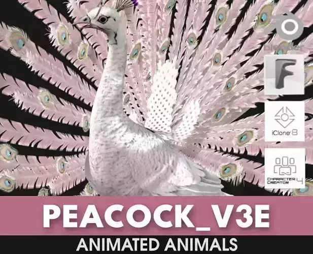 Peacock V3E 3D model