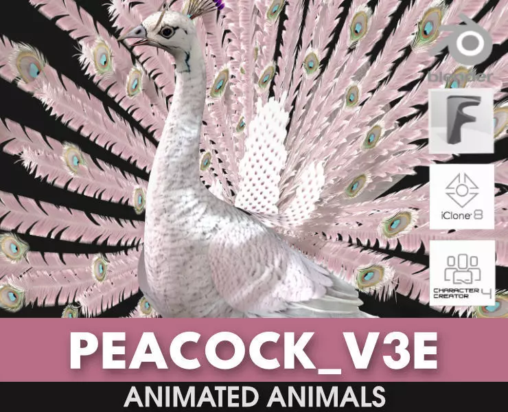 Peacock V3E 3D model_0