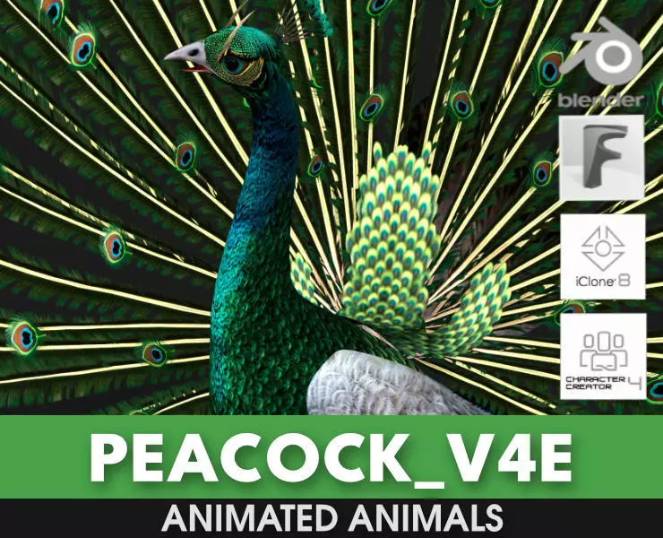 Peacock V4E 3D model_0