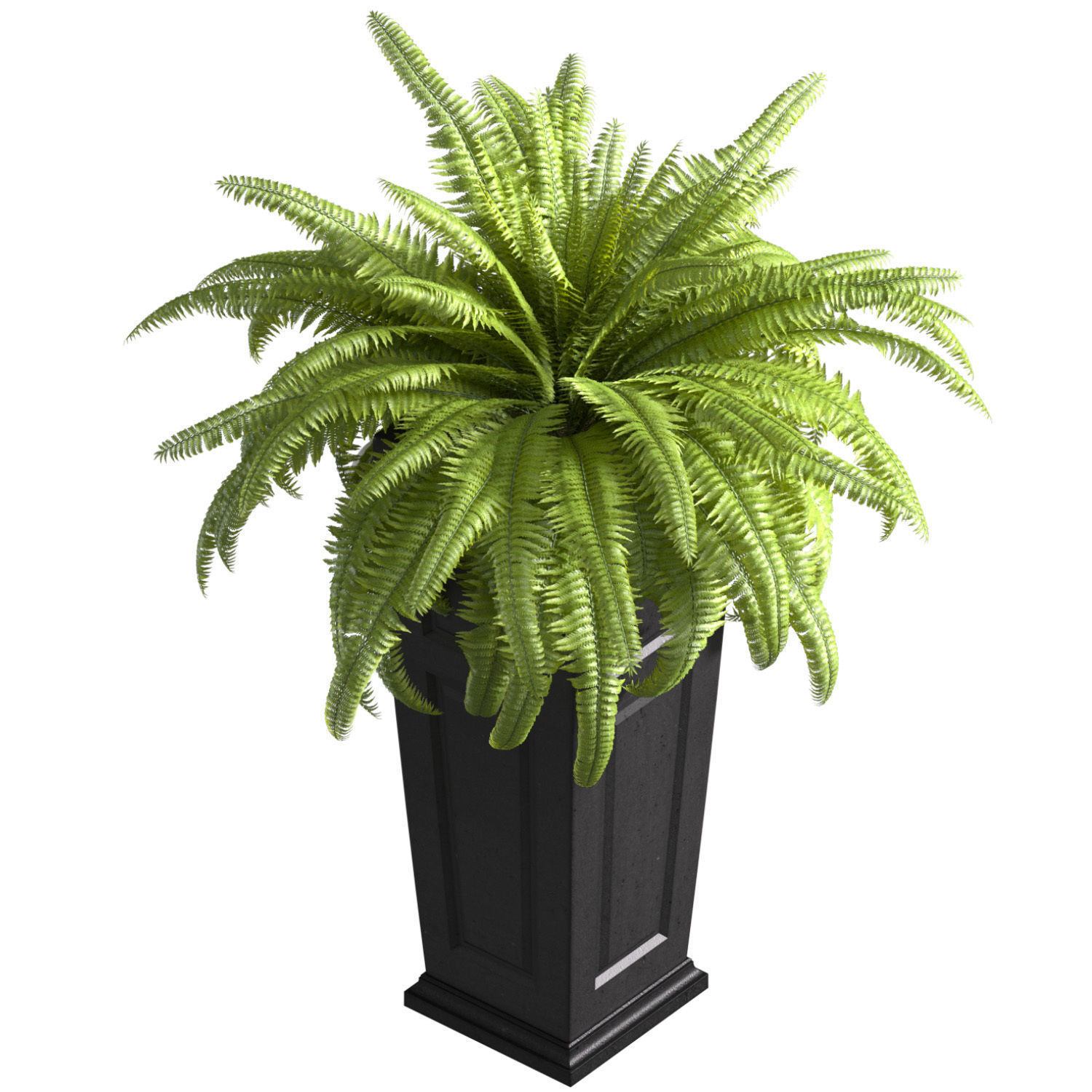 Boston Fern in a ArtDeco flowerpot Plant Front Entrance Patio  3D model_1