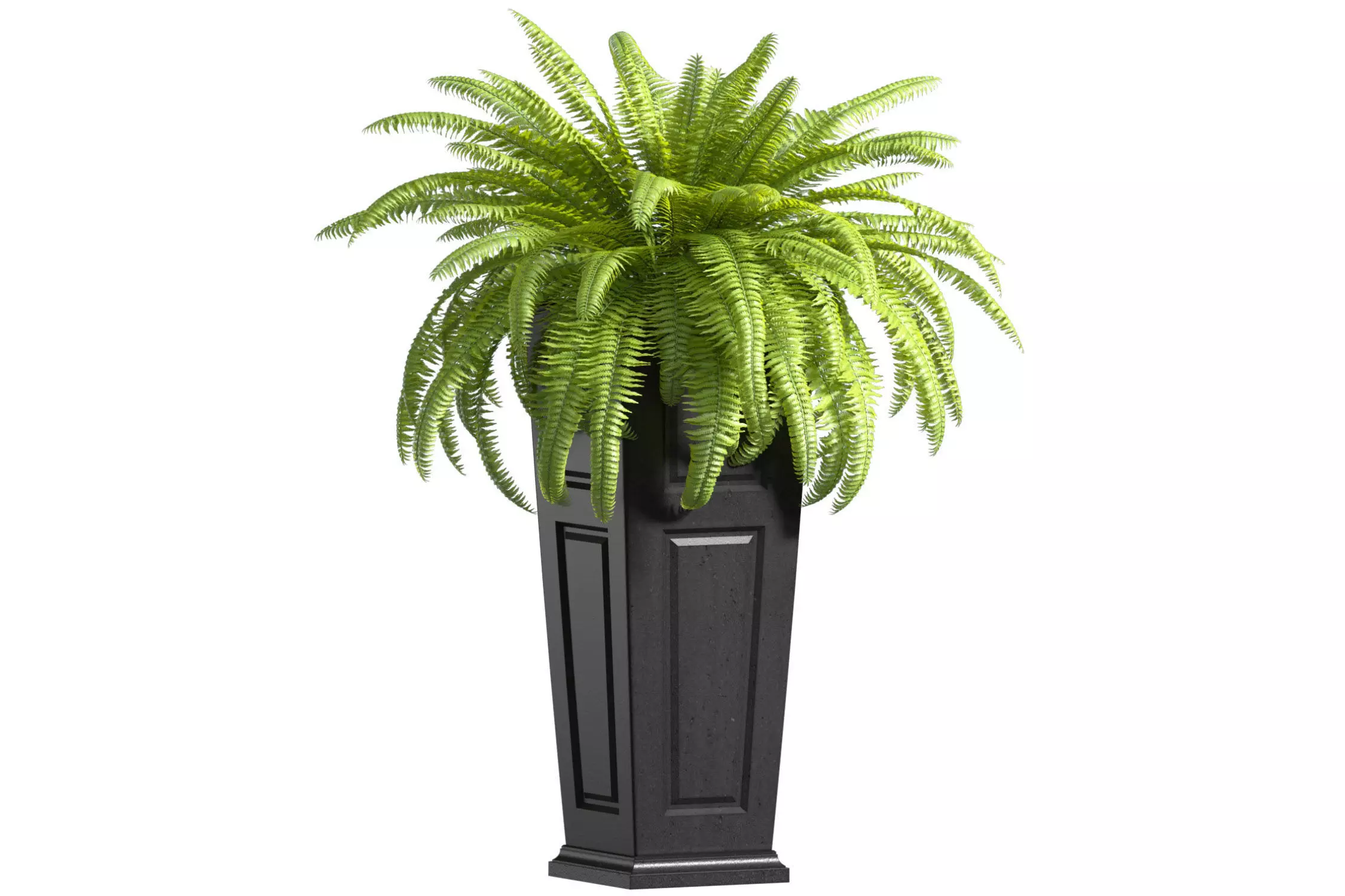 Boston Fern in a ArtDeco flowerpot Plant Front Entrance Patio  3D model_0