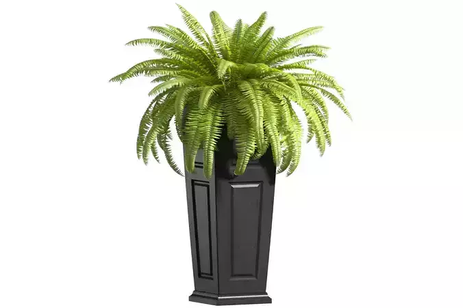 Boston Fern in a ArtDeco flowerpot Plant Front Entrance Patio  3D model
