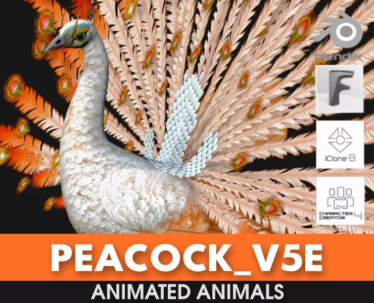 Peacock V5E 3D model_0