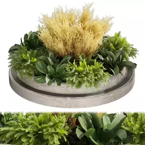 Collection plant vol 530 - garden - pampas - banana 3D model Collection plant vol 530 - garden - pampas - banana 3D model