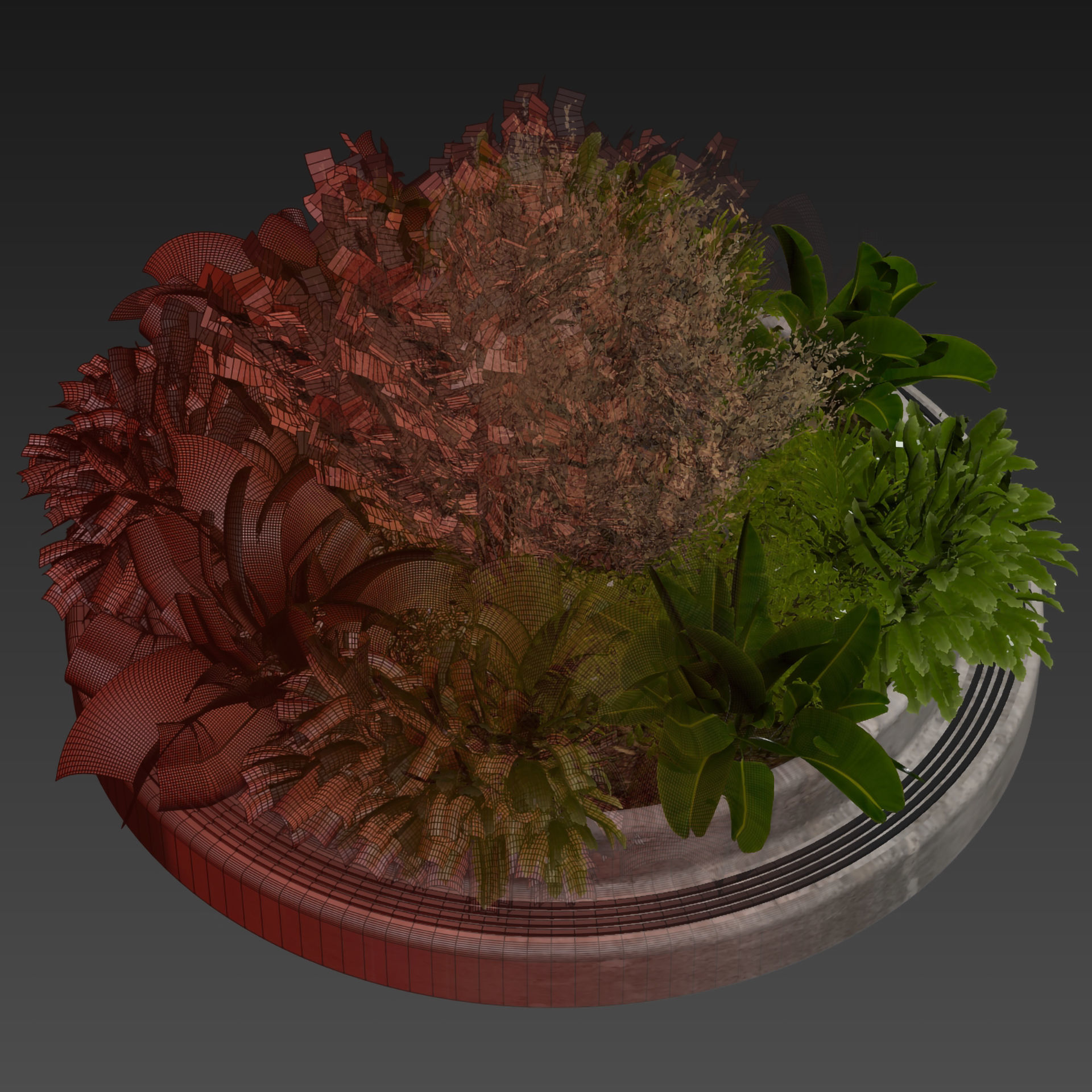 Collection plant vol 530 - garden - pampas - banana 3D model_6