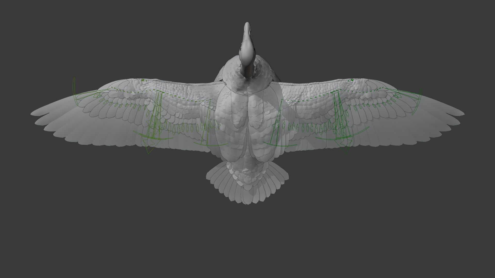 Goose Animation VFX Grace 3D model_14