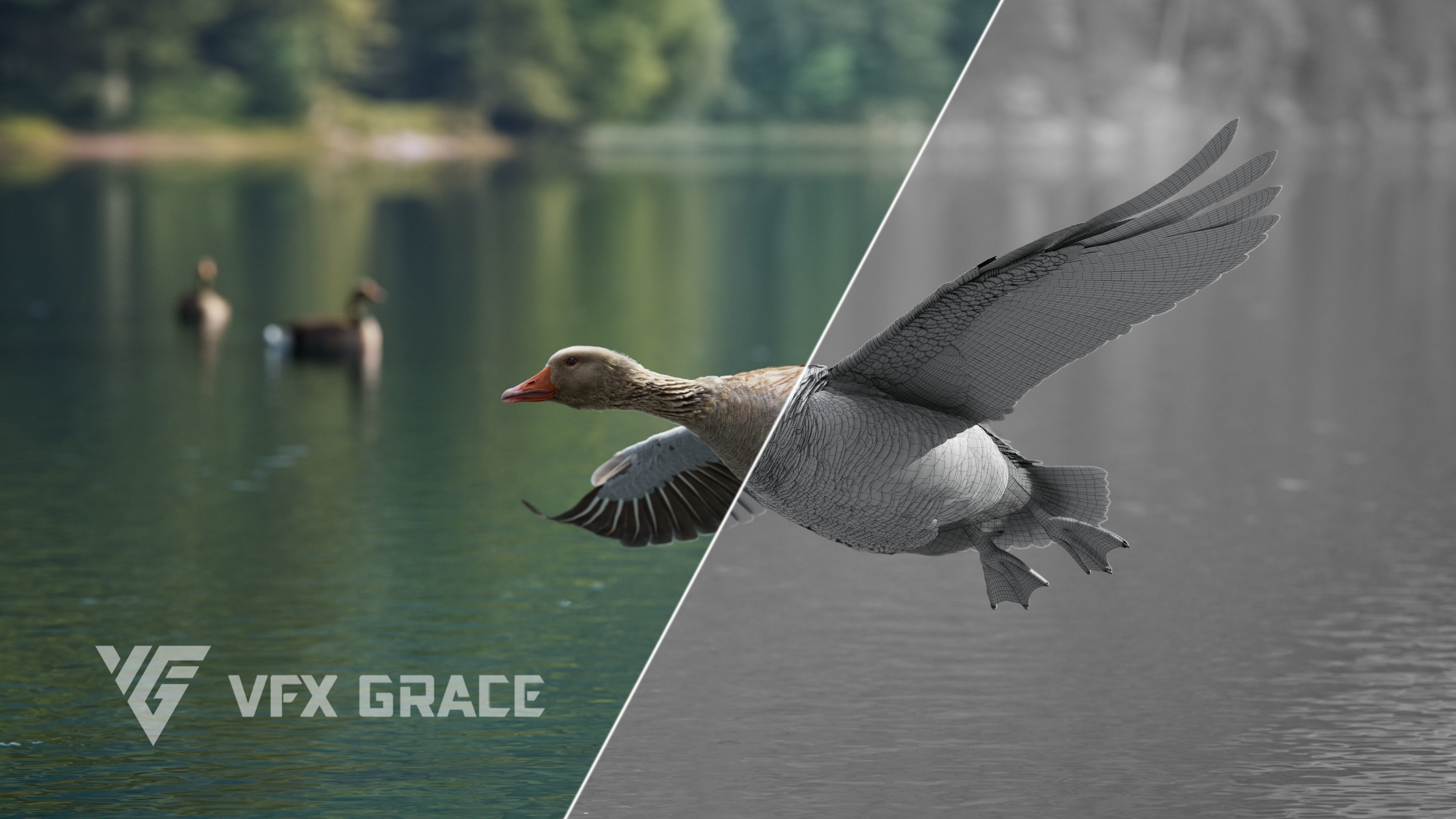 Goose Animation VFX Grace 3D model_7
