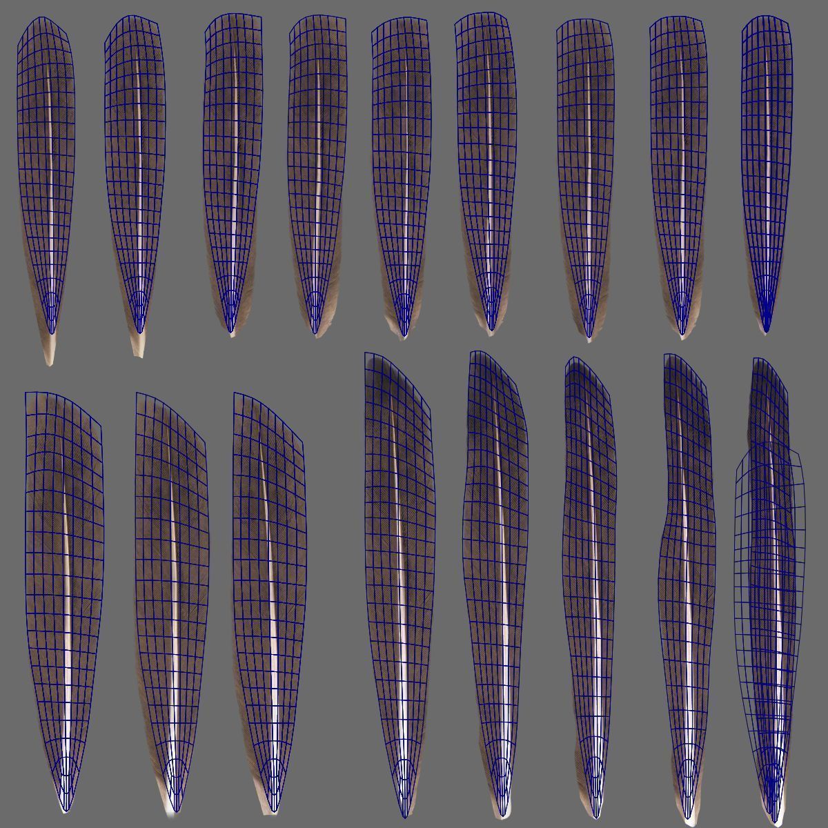 Goose Animation VFX Grace 3D model_21