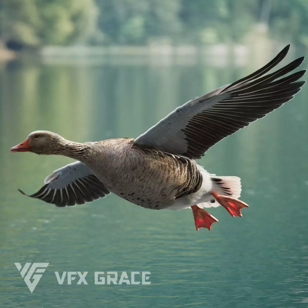 Goose Animation VFX Grace 3D model_0
