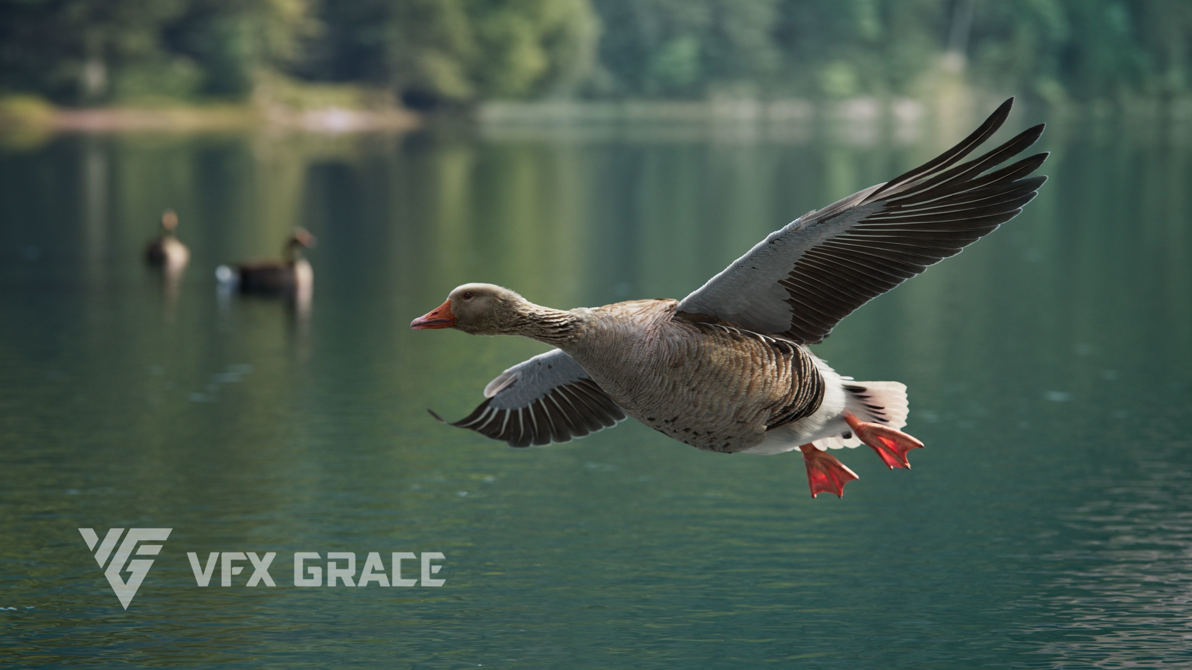 Goose Animation VFX Grace 3D model_6