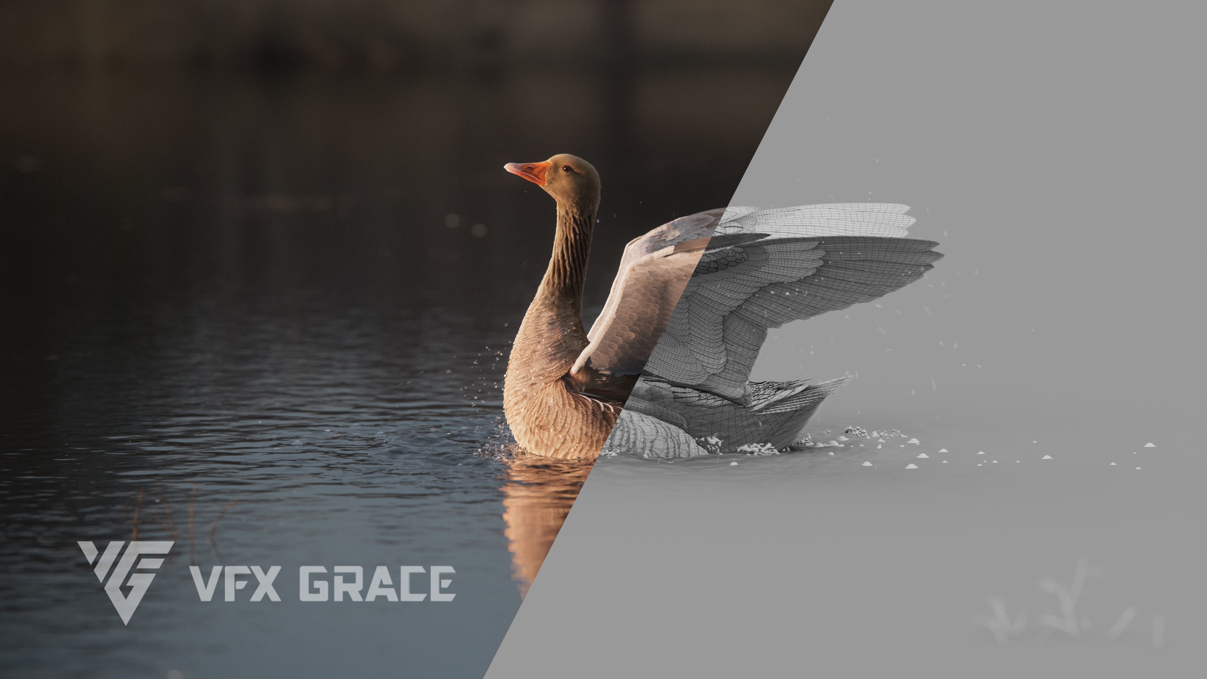 Goose Animation VFX Grace 3D model_9