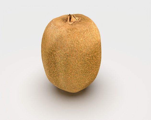 Kiwi Fruit 3D model 5